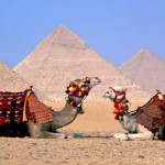 egypt_cairo_camels