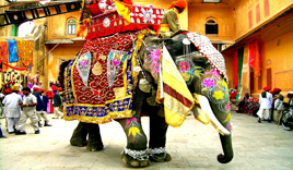 India-elephant